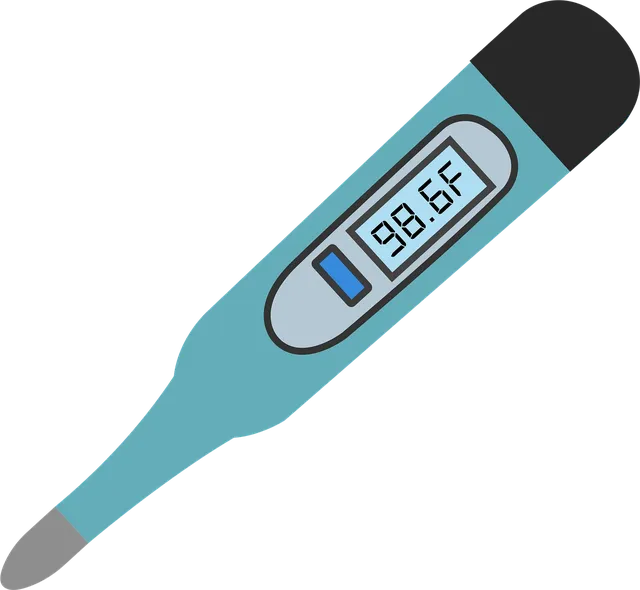 BLOMUS Wandthermometer GRADO 65244