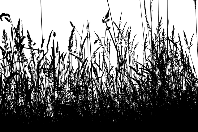 TEXT_OF_5_STARS