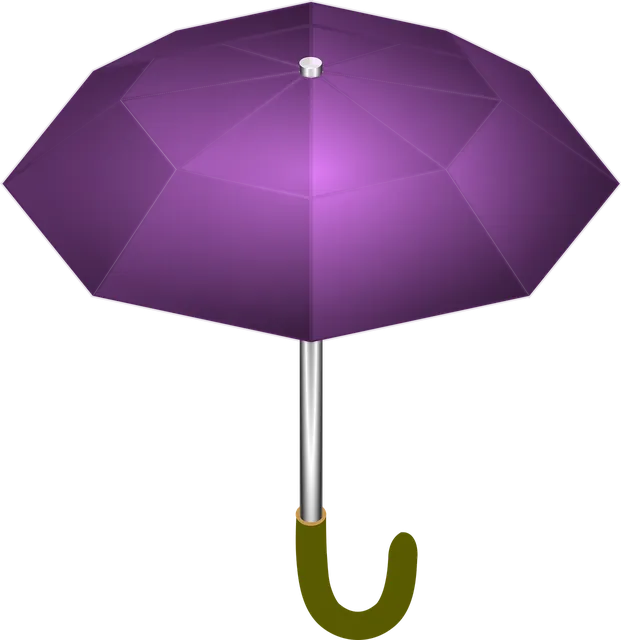 BLOMUS Regenmesser CALLA 65252
