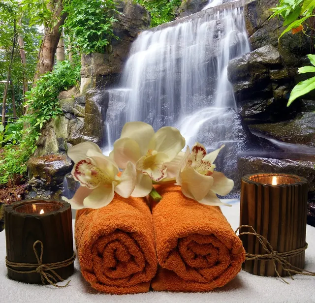 Wellness