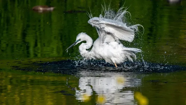 NEUHEITEN