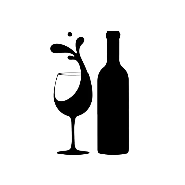 NUANCE Wine Finer Flaschenausgießer Dekantierer 4 in 1